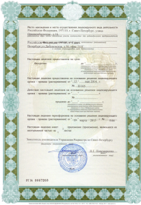 Лицензия на услуги 
